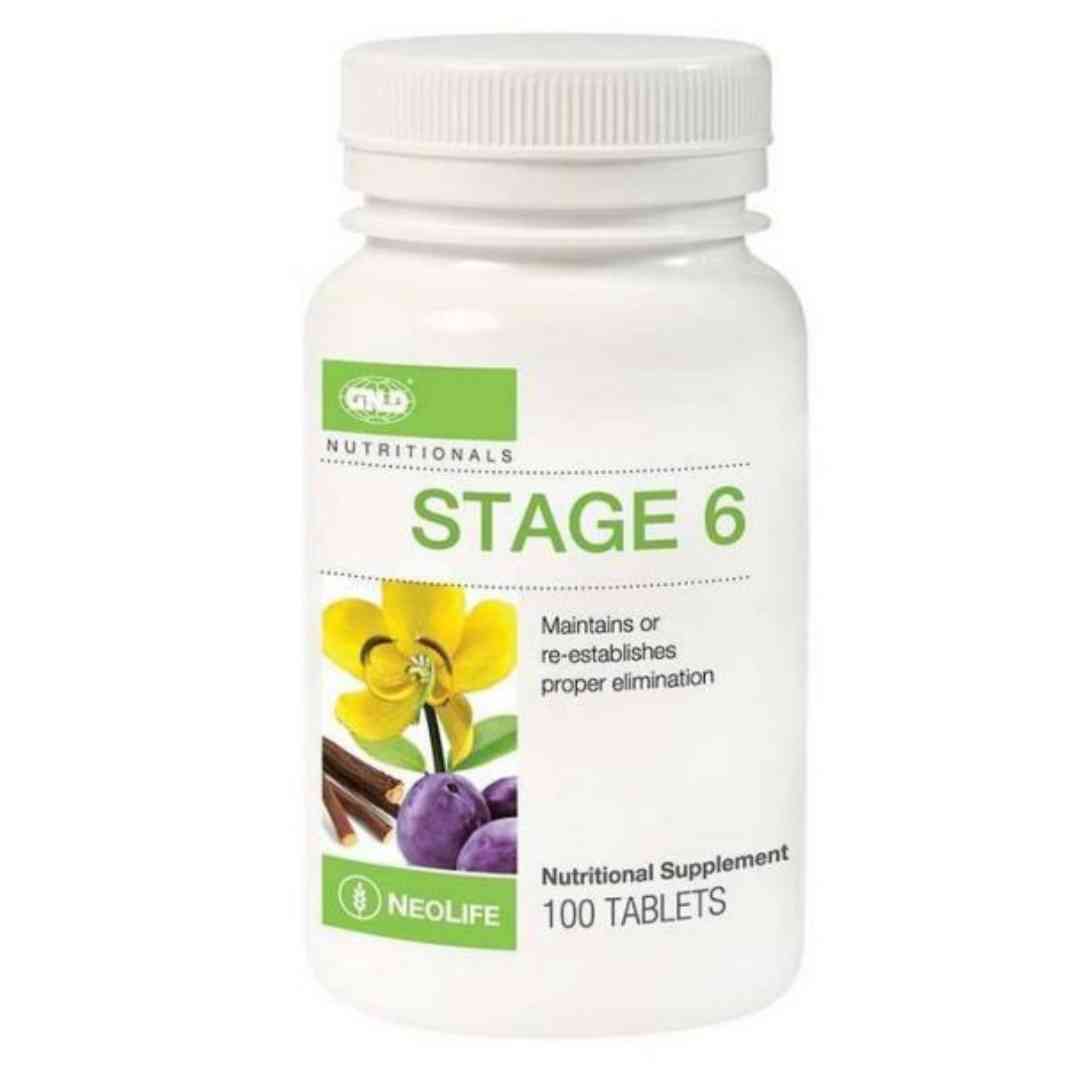 Stage 6