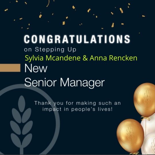 Senior management 