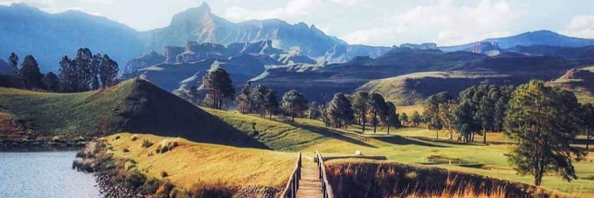 Journey to health