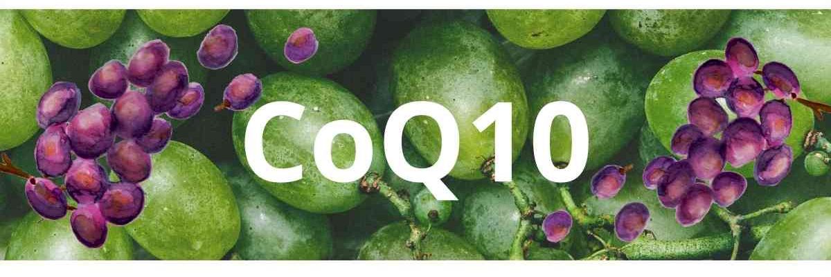 CoQ10 new NeoLife Product