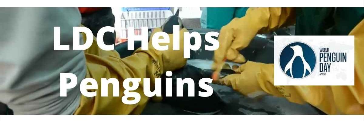LDC helps save penguins from oil spills