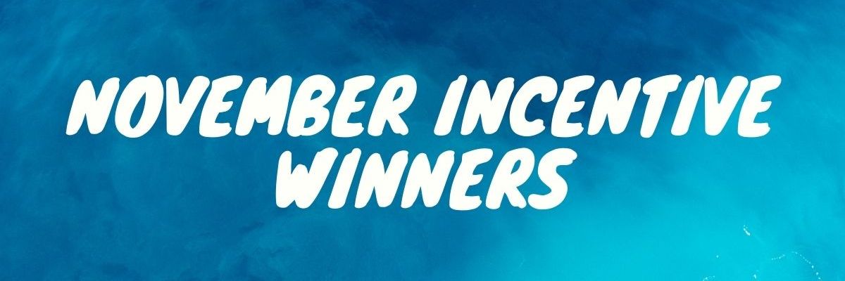 November distributor Incetive Winners