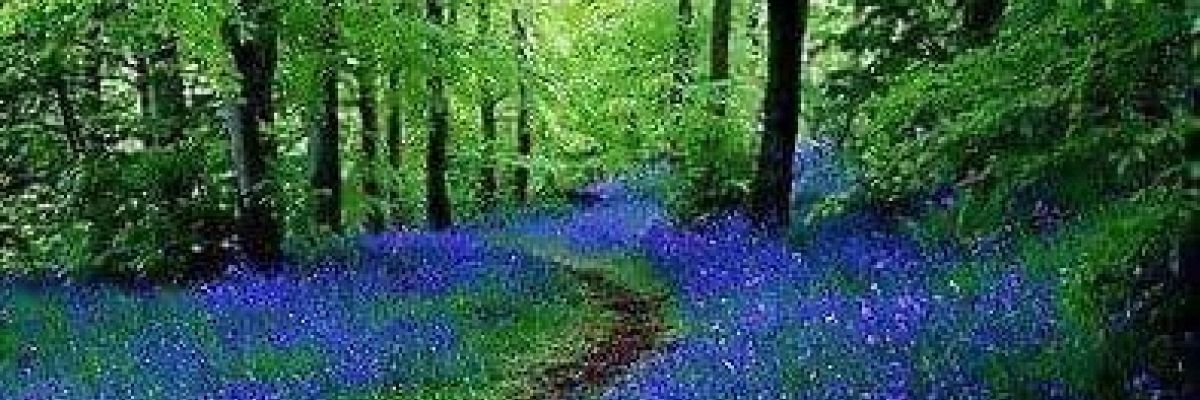 The Path to Healing